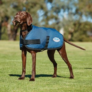 Weatherbeeta Classic Coat In Blue Size 25cm