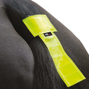HY Equestrian Tail Band In Yellow
