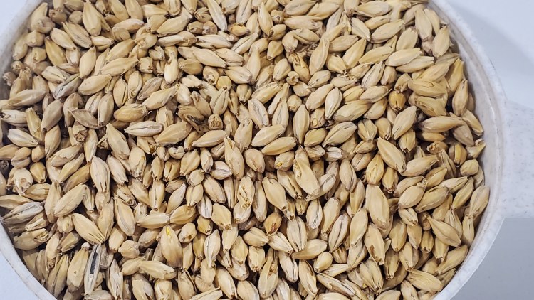 2-Row Malt 1 lb.