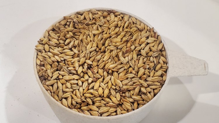 Honey Malt 55 lbs.