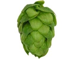 Northern Brewer 1 lb.