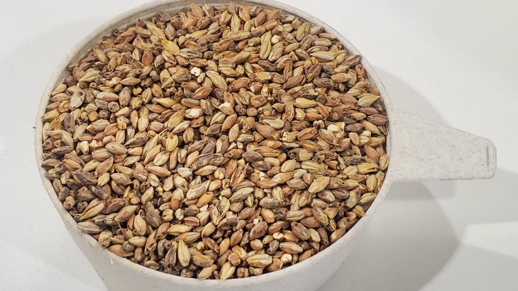 Victory Malt 50 lbs.