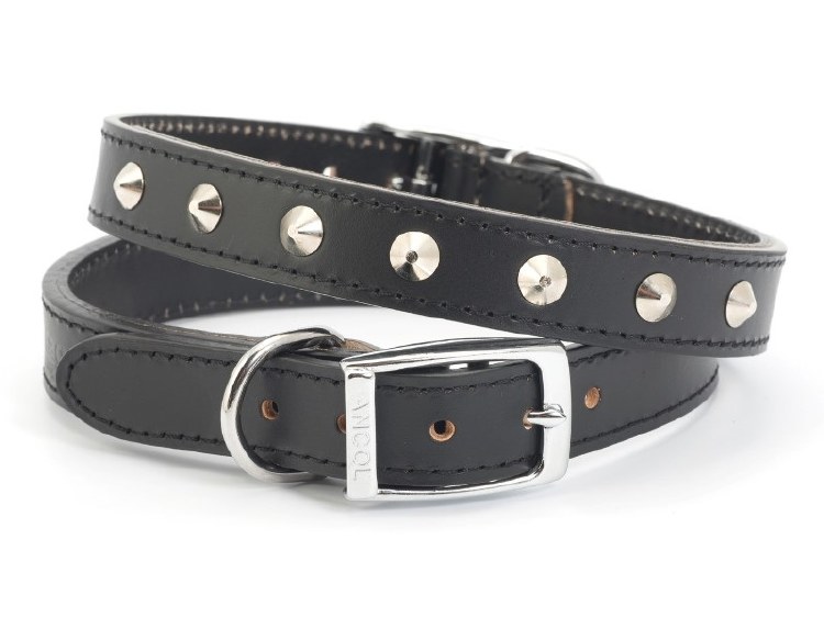 ANCOL SEWN STUDDED COLLAR BLACK 16&quot;