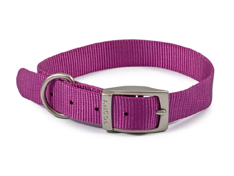 ANCOL VIVA COLLAR - PURPLE SIZE 5