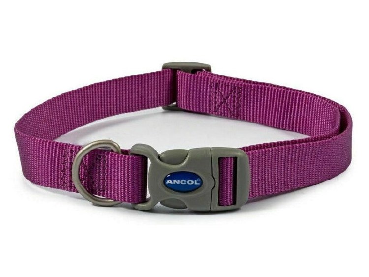 ANCOL VIVA ADJUSTABLE COLLAR 5-9 PURPLE