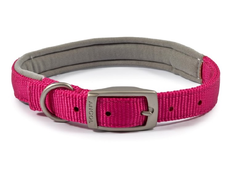 ANCOL VIVA PADDED NYLON COLLAR RASPBERRY S4
