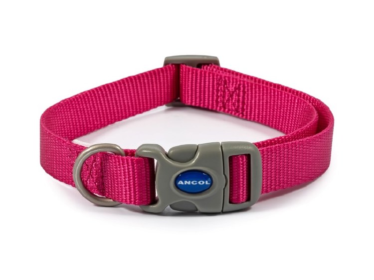 ANCOL VIVA NYLON ADJ COLLAR RASPBERRY SIZE 1-2