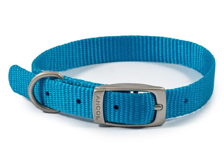 VIVA NYLON COLLAR S2 14" -BLUE