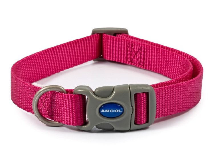 ANCOL VIVA NYLON ADJ COLLAR RASPBERRY SIZE 2-5