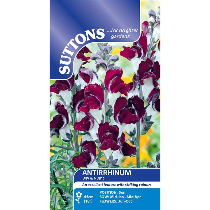 SUTTONS ANTIRRHINUM DAY &amp; NIGHT