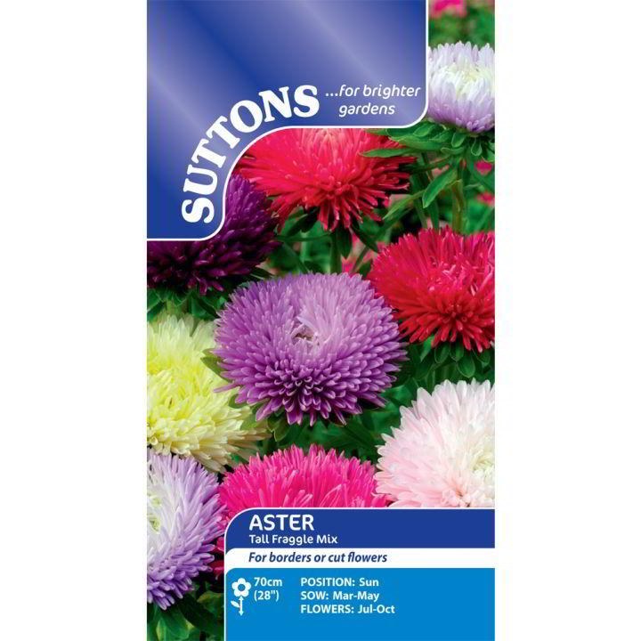 SUTTONS ASTER TALL FRAGGLE MIX