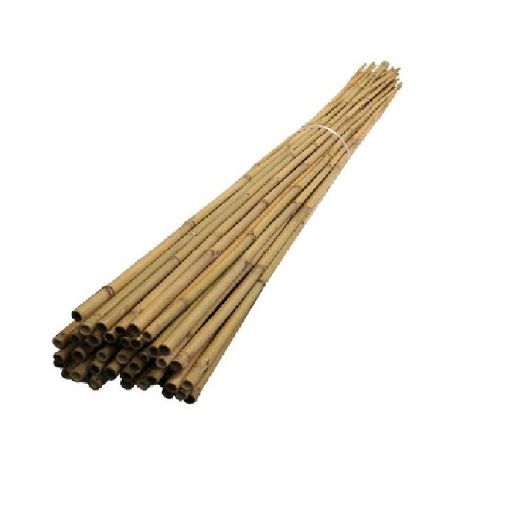 6FT BAMBOO CANE