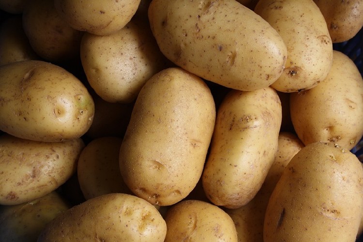 BRITISH QUEENS POTATO SEEDS