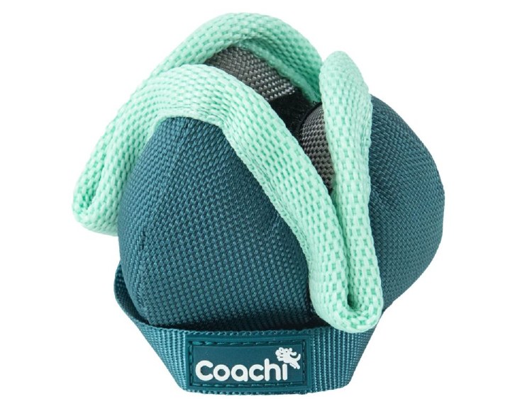 COACHI PUP &amp; MINI CHASE/TREAT - TEAL MINT