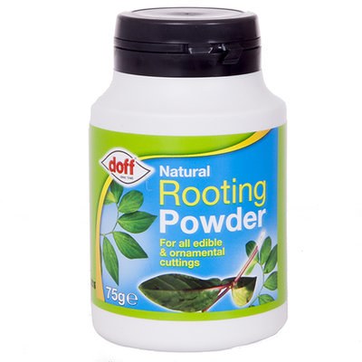 DOFF NATURAL ROOTING POWDER 75GRM