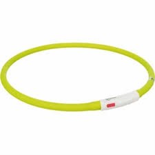 FLASHLIGHT COLLAR - GREEN