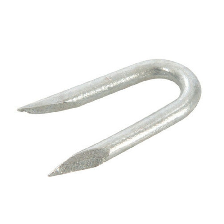 GALVANISED STAPLES 20MM 75G
