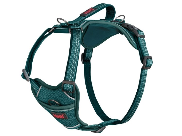 HALTI ANATOMY HARNESS TEAL MEDIUM