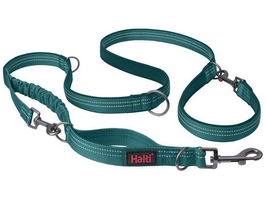 HALTI ANATOMY MULTI LEAD TEAL LARGE