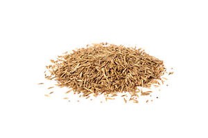 FAMILY LAWN SEED 500G