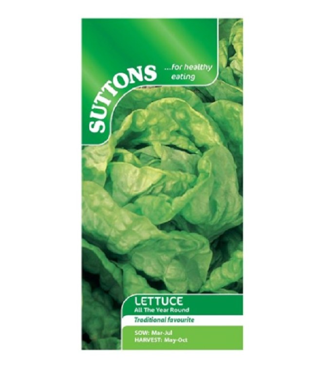 SUTTONS LETTUCE ALL YEAR ROUND