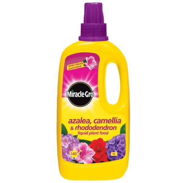 MIRACLE-GRO AZALEA,CAMELLIA &amp; RHODODENDRON LIQUID PLANT FOOD 800 ML