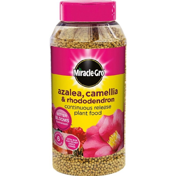 MIRACLE-GRO AZALEA,CAMELLIA &amp; RHODODENDRON CONTINUOUS RELEASE PLANT FOOD SHAKER JAR 1 KG