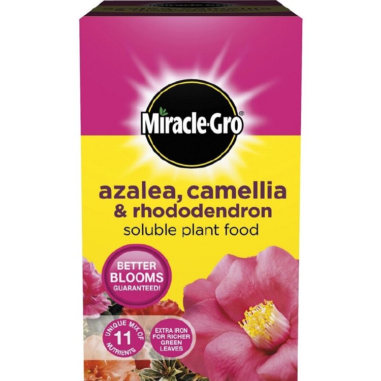 MIRACLE-GRO AZALEA,CAMELLIA &amp; RHODODENDRON SOLUBLE PLANT FOOD 1 KG