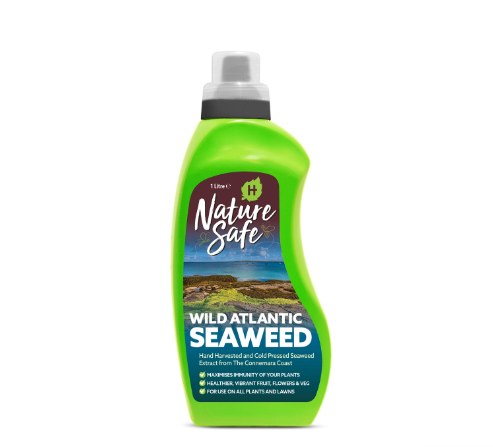 NATURE SAFE WILD ATLANTIC SEAWEED PLANT FEED 1L