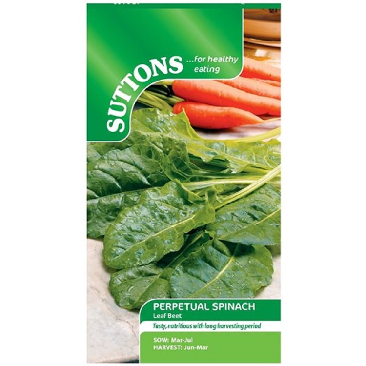 SUTTONS PERPETUAL SPINACH LEAF BEET