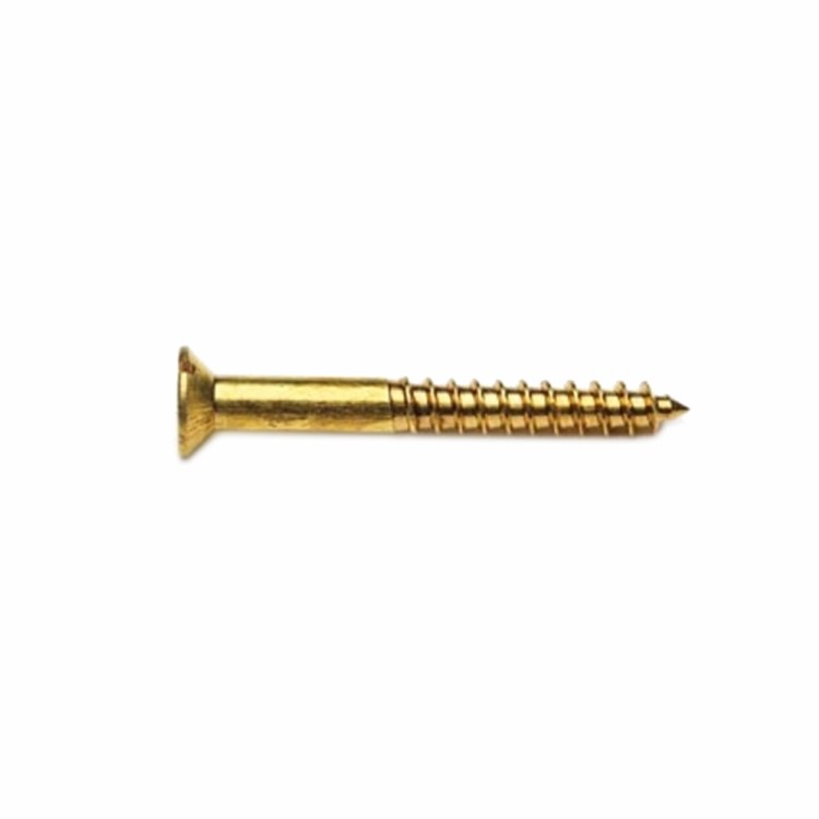 PREMIER 15 PCE 10 X 1&quot; CSK SLOTTED SCREW BRASS BLISTER