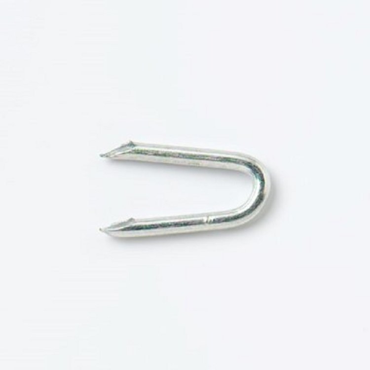 PREMIER 1 KG BAG 30 MM (1 1/4&quot;) GALVANISED STAPLES