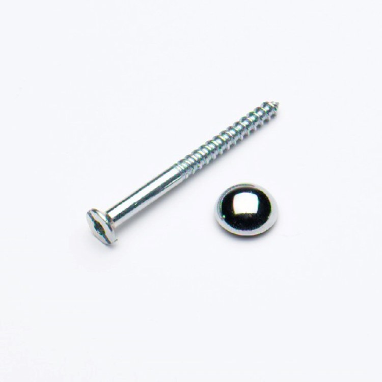PREMIER 2 PCE 8 X 3/4" MIRROR SCREWS CHROME PLATED BLISTER