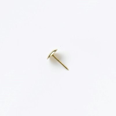 PREMIER 30 PCE BLISTER BRASS UPHOLSTERY NAILS E.B.