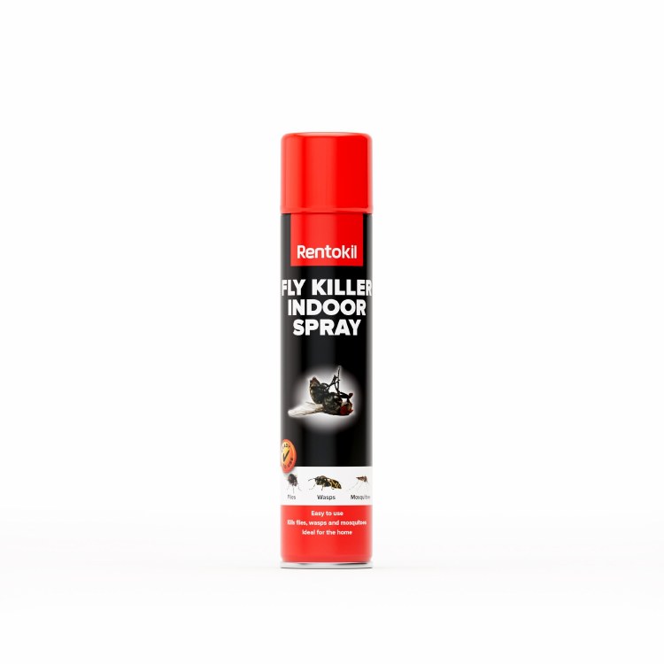 RENTOKIL 300 ML FLY &amp; WASP KILLER