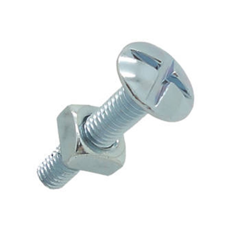 RAWLPLUG ROOFING BOLTS AND NUTS M6 X 25 - BAG OF TEN