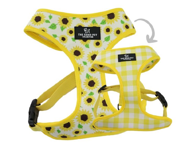 SOHO REVERS HARNESS SUNFLOWER YELLOW S