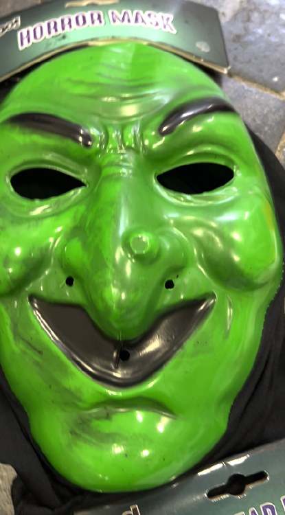 SPOOKY GREEN WITCH HALLOWEEN MASK WITH HOOD