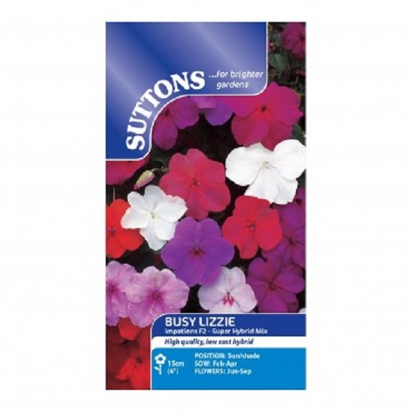 SUTTONS BUSY LIZZIE VALUE HYBRIDS