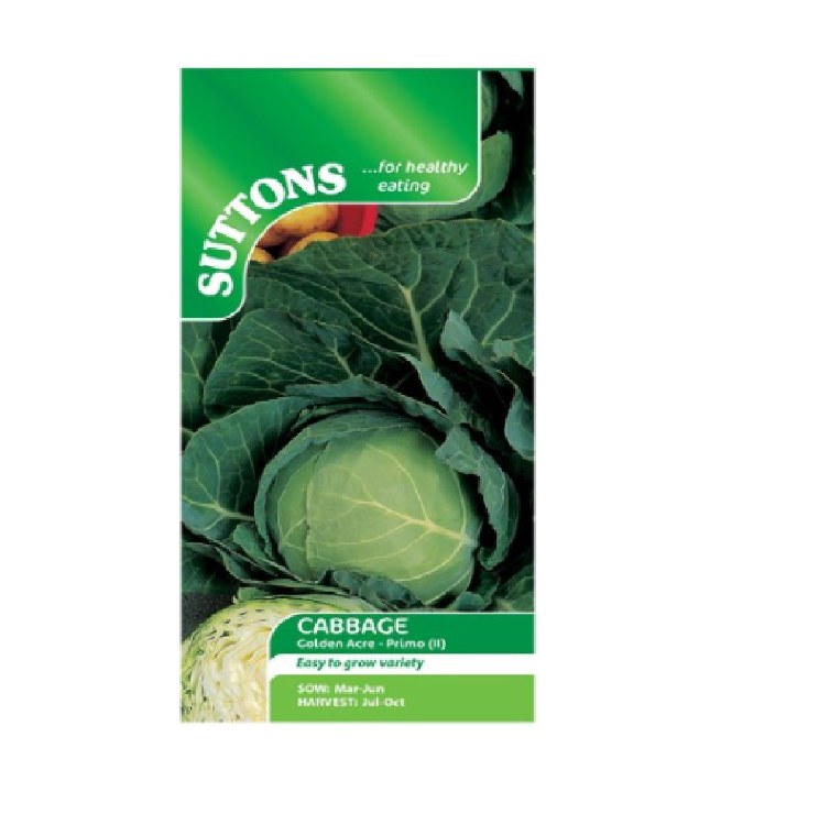 SUTTONS CABBAGE GOLDEN ACRE PRIMO