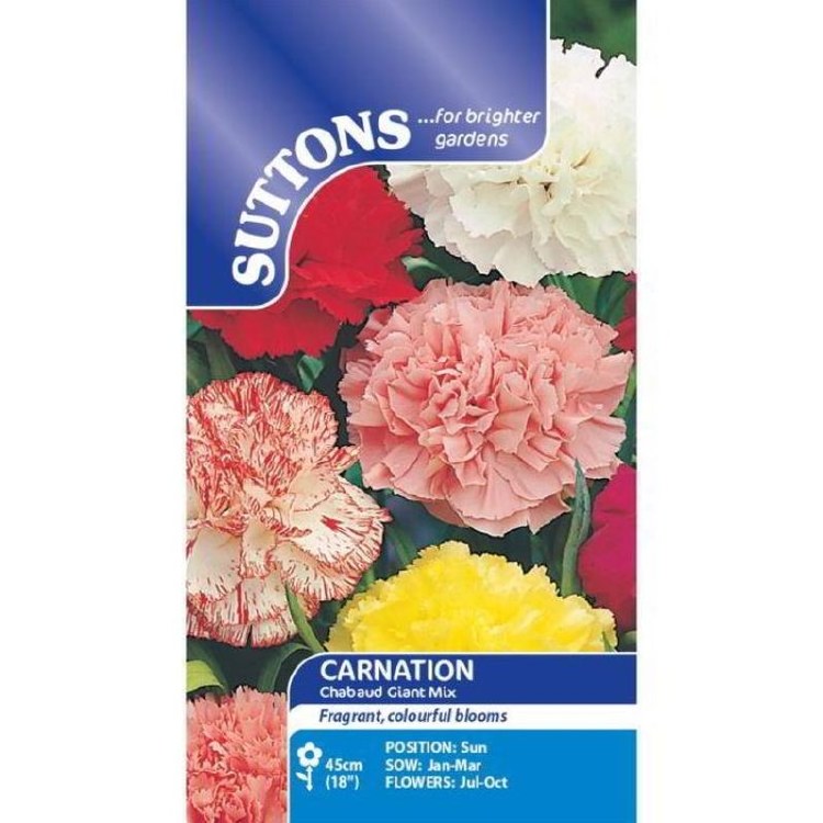SUTTONS CARNATION* CHABAUD GIANT MIX
