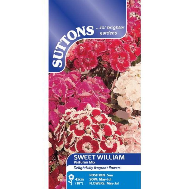 SUTTONS SWEET WILLIAM PERUME MIX
