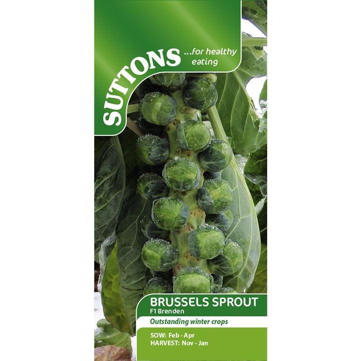 SUTTONS BRUSSEL SPROUTS F1 BRENDEN