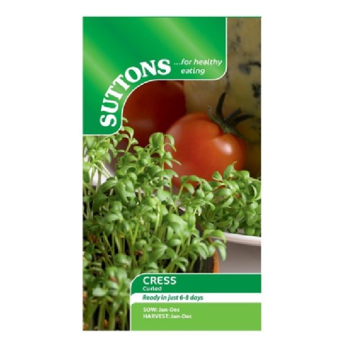 SUTTONS CRESS CURLED