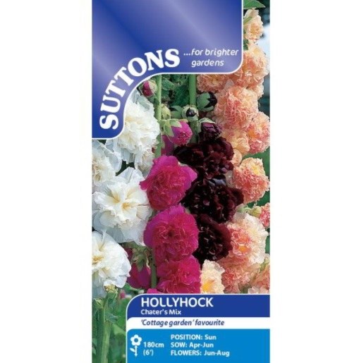 SUTTONS HOLLYHOCK CHATERS MIX