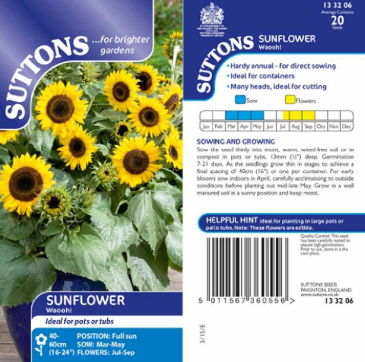 SUTTONS SUNFLOWER* WAO0H!