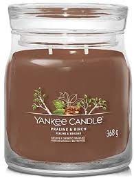 YANKEE CANDLE PRALINE AND BIRCH MEDIUM JAR