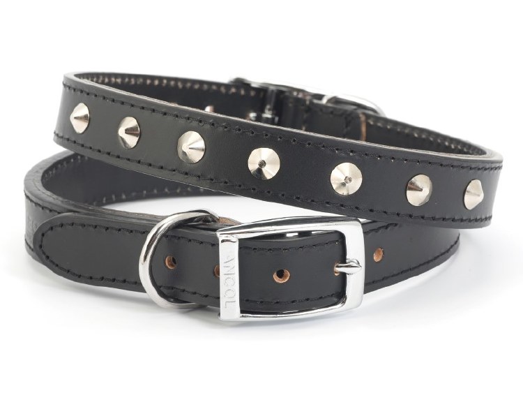 ANCOL SEWN STUDDED DOG COLLAR - BLACK