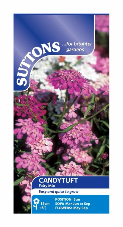 SUTTONS CANDYTUFT FAIRY MIX