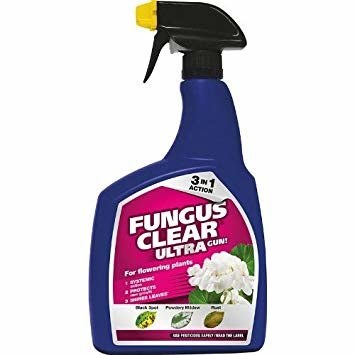 FUNGUS CLEAR ULTRA GUN 1 LTR